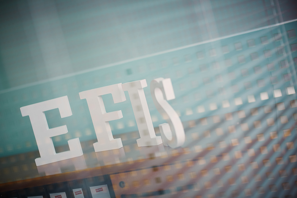 Efis Consulting Office